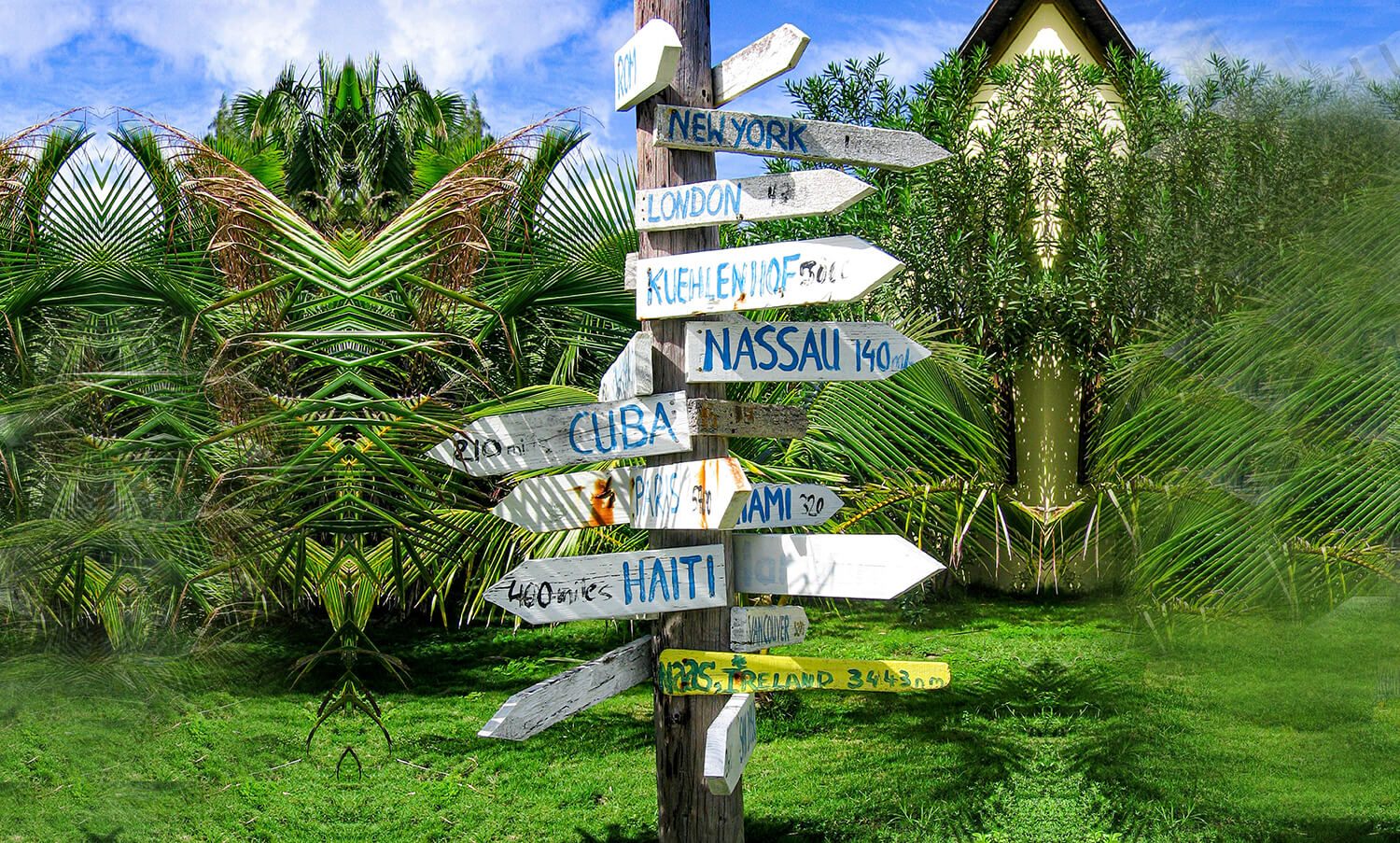 Wooden destination signpost surrounded by palm trees